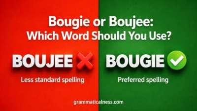 Bougie or Boujee