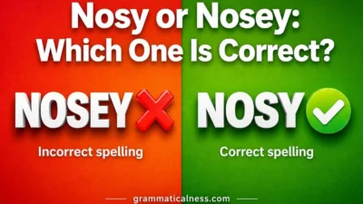 Nosy or Nosey