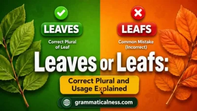 Leaves or Leafs