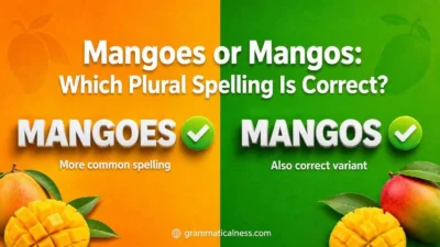 Mangoes or Mangos