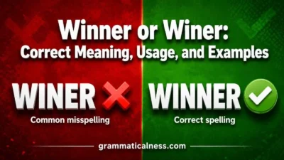 winner or winer