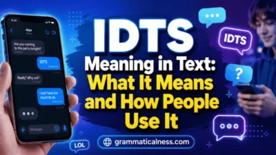 IDTS Meaning in Text