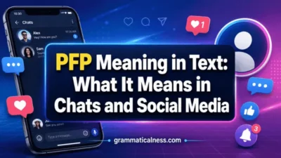 PFP Meaning in Text